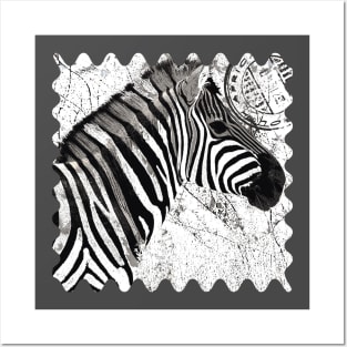 Zebra on a stamp Posters and Art